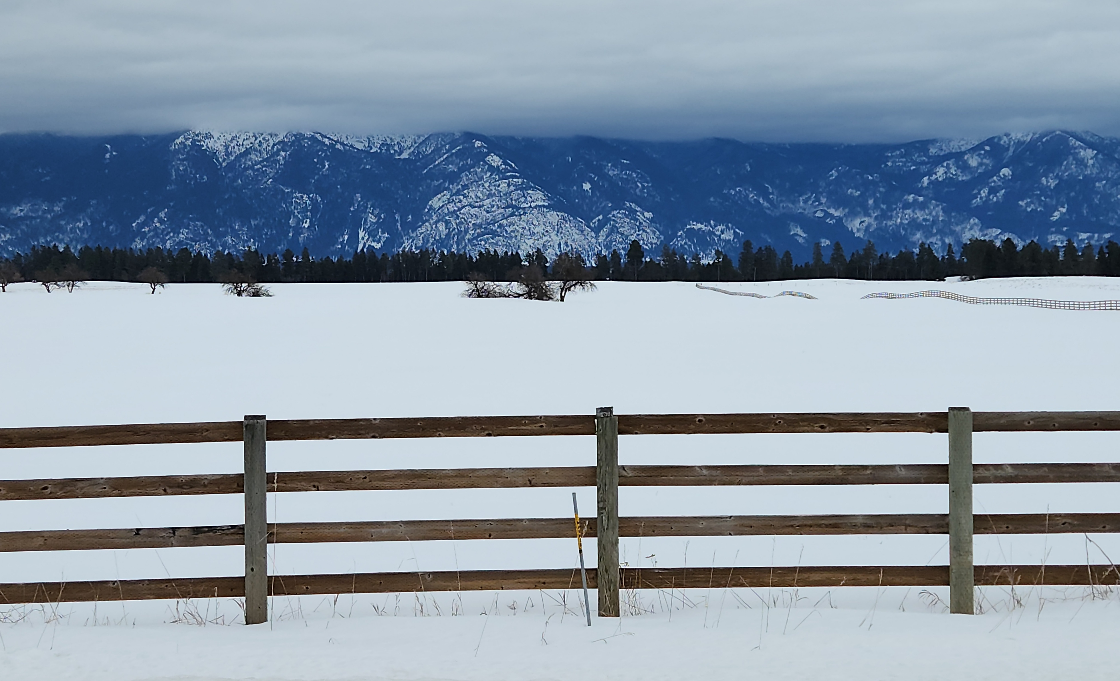 Pasture and Mountain Scene